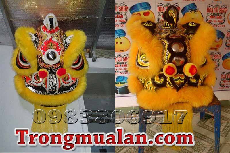 bán đầu lân vàng