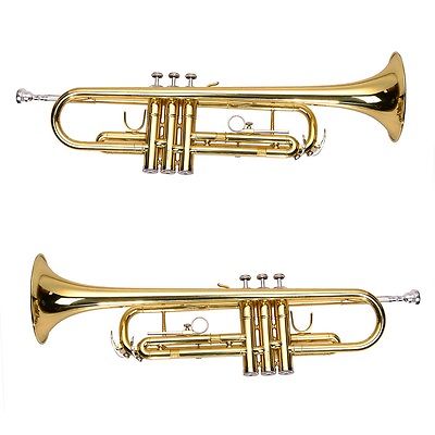 Bộ kèn trumpet cho thuê